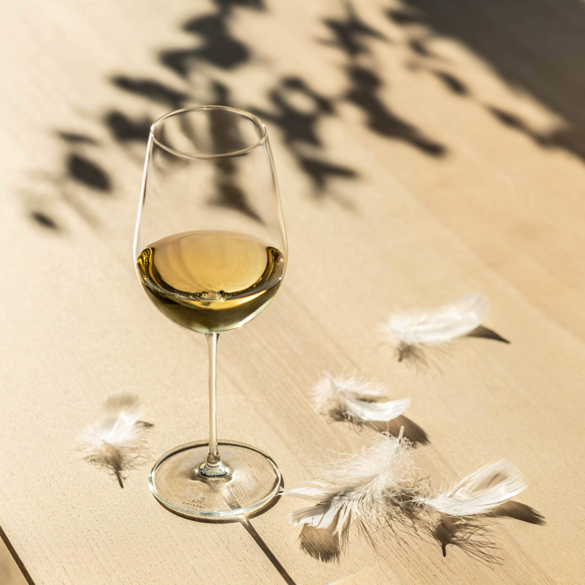 ZWIESEL GLAS Series VUELO White wine glass with mousse point 2 pieces Capacity 517 ml each
