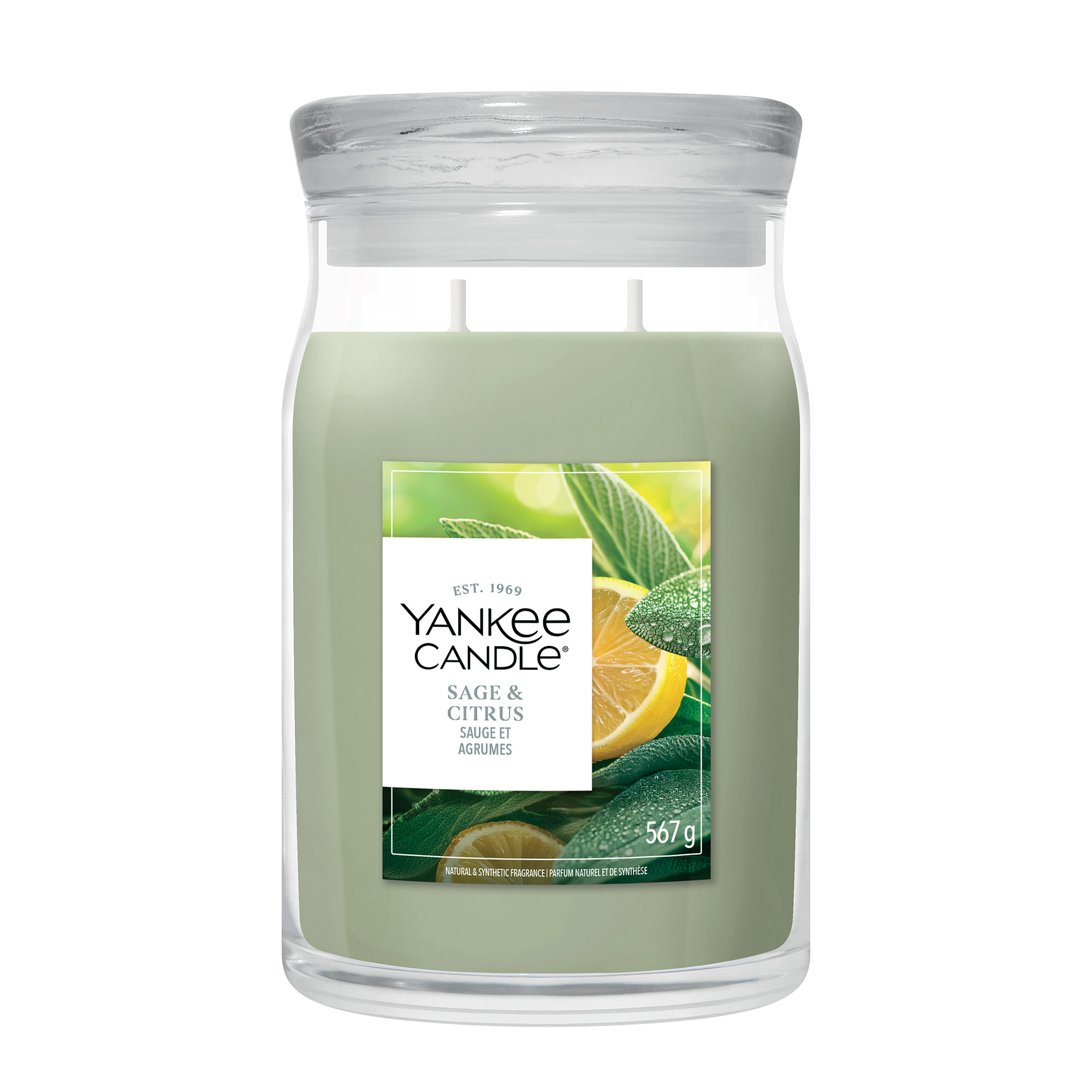 YANKEE CANDLE Große Signature Kerze SAGE & CITRUS 567 g Duftkerze