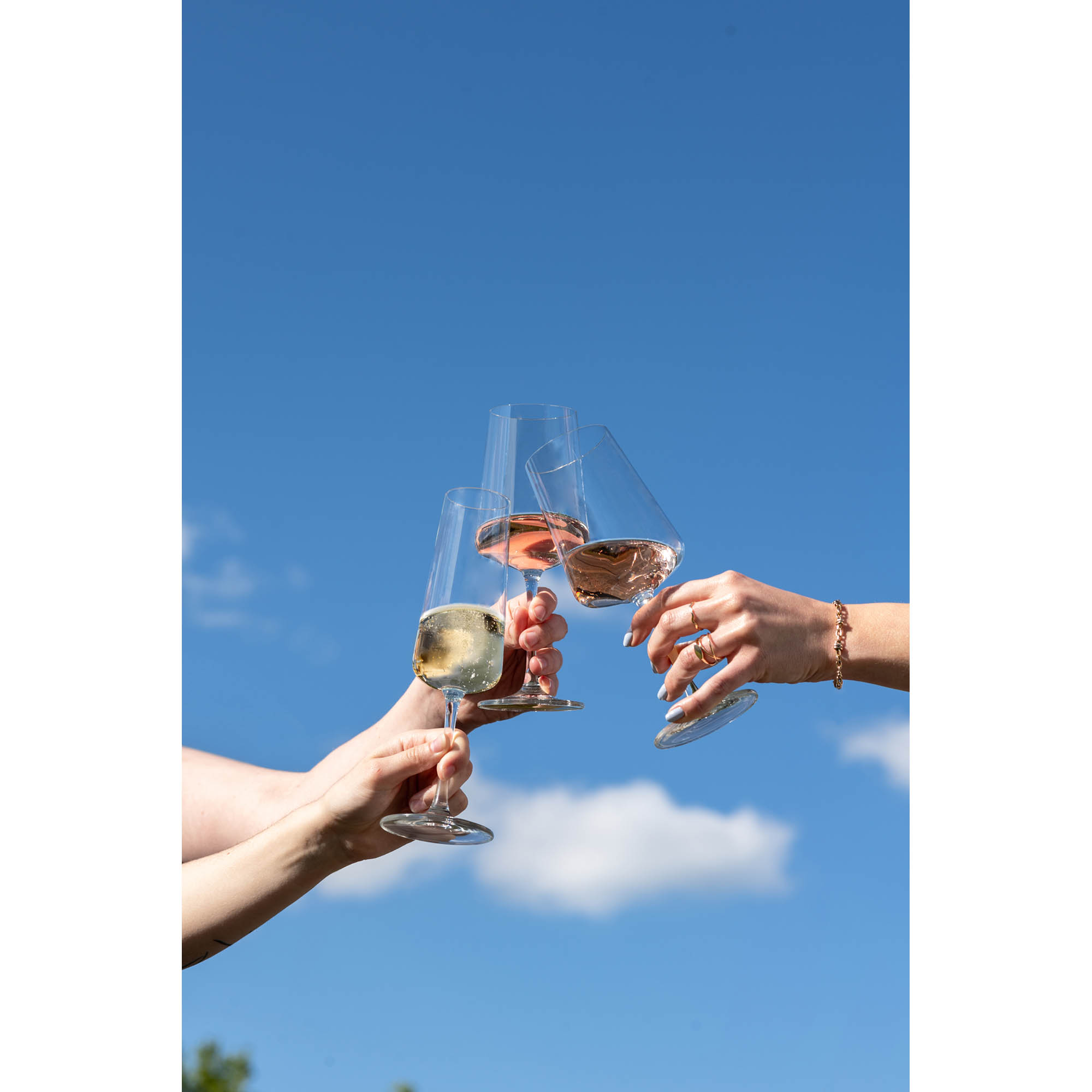 SCHOTT ZWIESEL MIOVINO series Champagne glass 4 pieces Capacity 260 ml