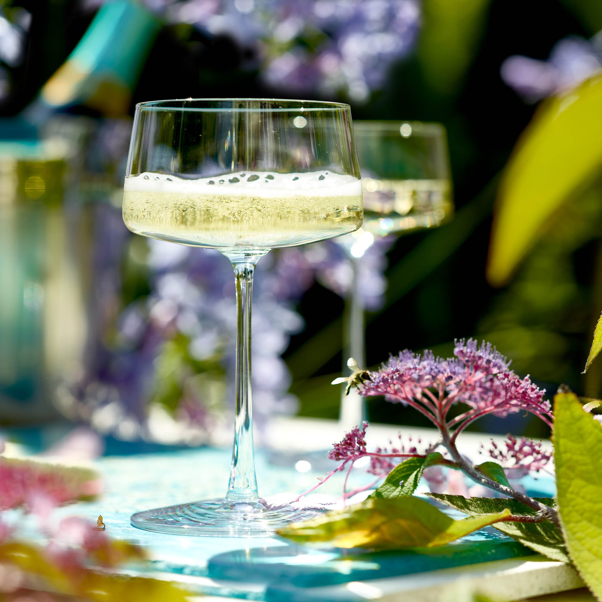 STÖLZLE LAUSITZ Serie POWER Champagnerschale Sektschale 6 Stück Inhalt 276 ml