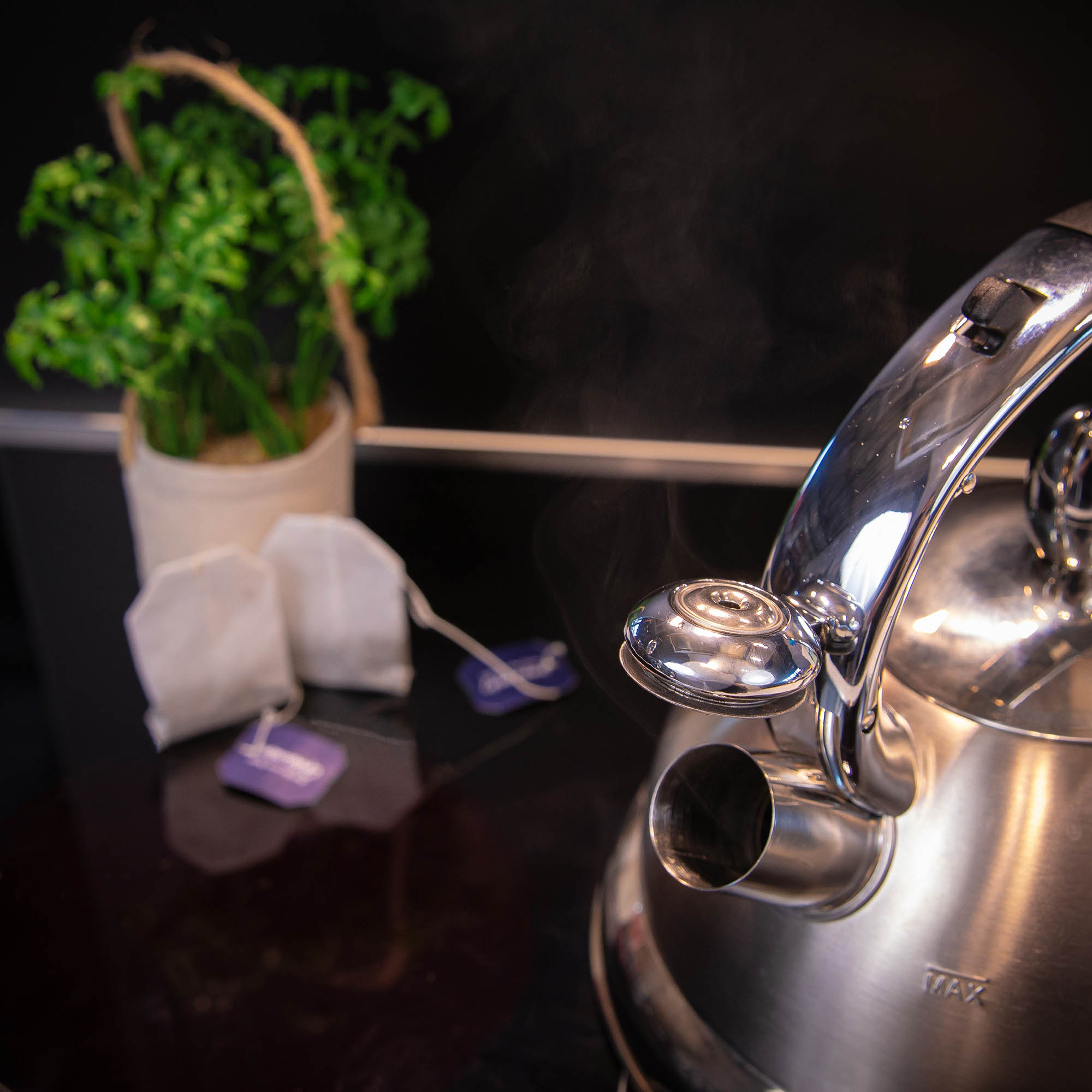 CILIO CONTE kettle with flute stainless steel 2.7 litres induction