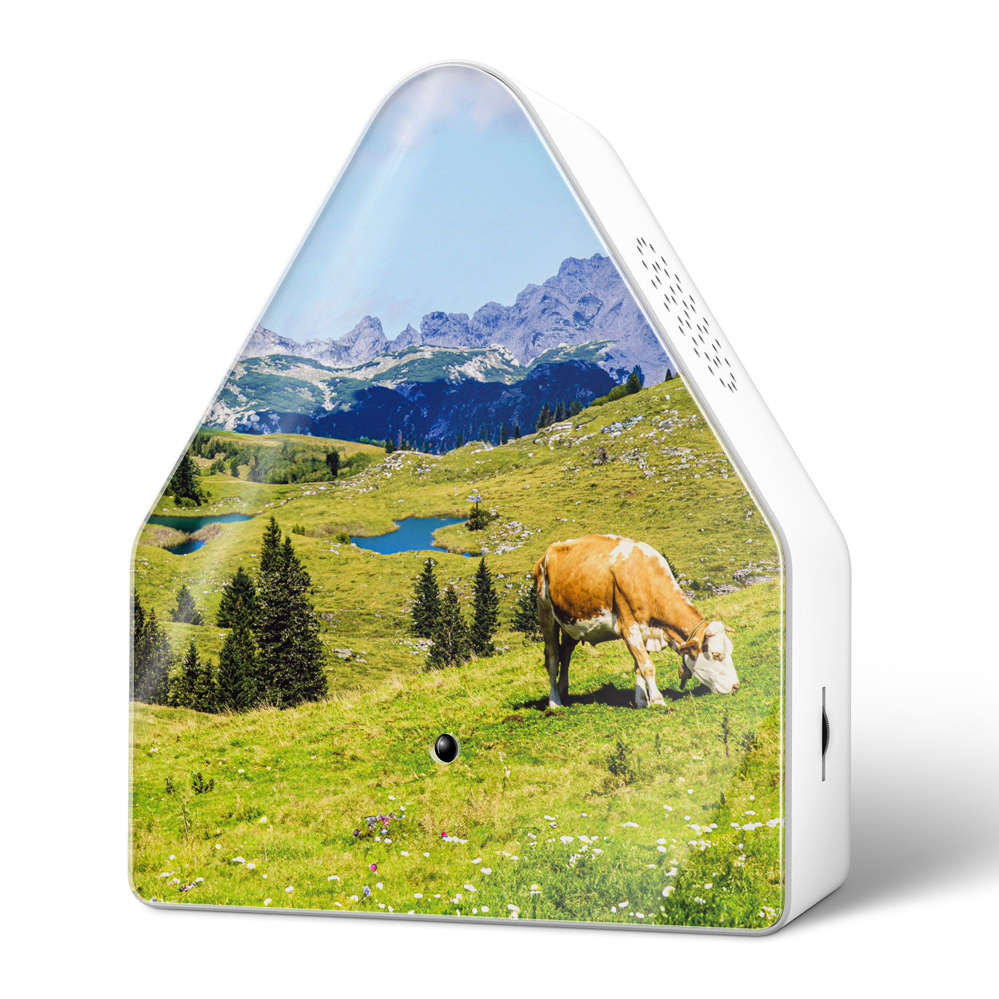 RELAXOUND Alpensound HEIDIBOX Alpen-Atmosphäre stereo UV-Druck Alpenwiese