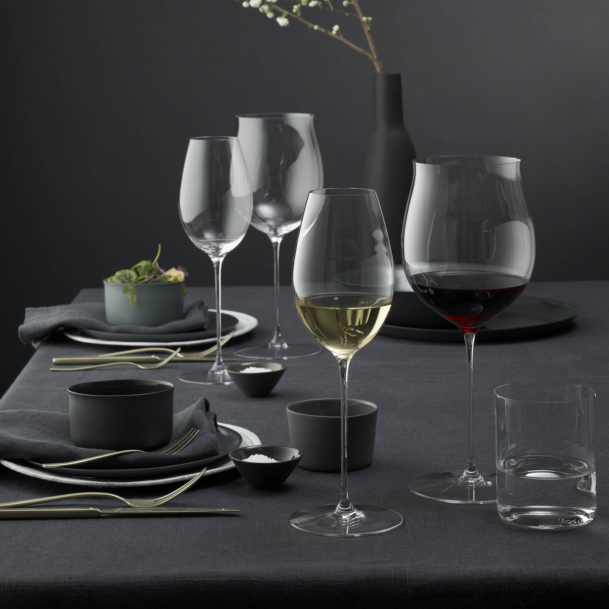 RIEDEL SUPERLEGGERO series tasting set with 4 variety-specific glasses
