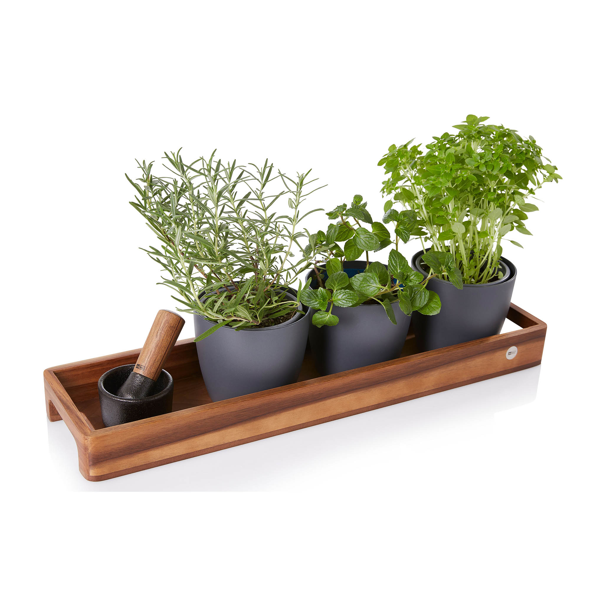 AdHoc SERVE SLIM serving tray 50 x 13 x 5 cm acacia + walnut wood