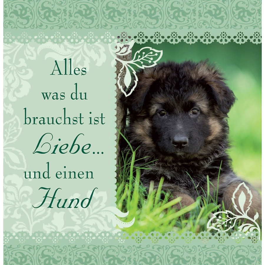 H&H Romantisches Geschirrtuch "Alles was du brauchst ist Liebe... und einen Hund"