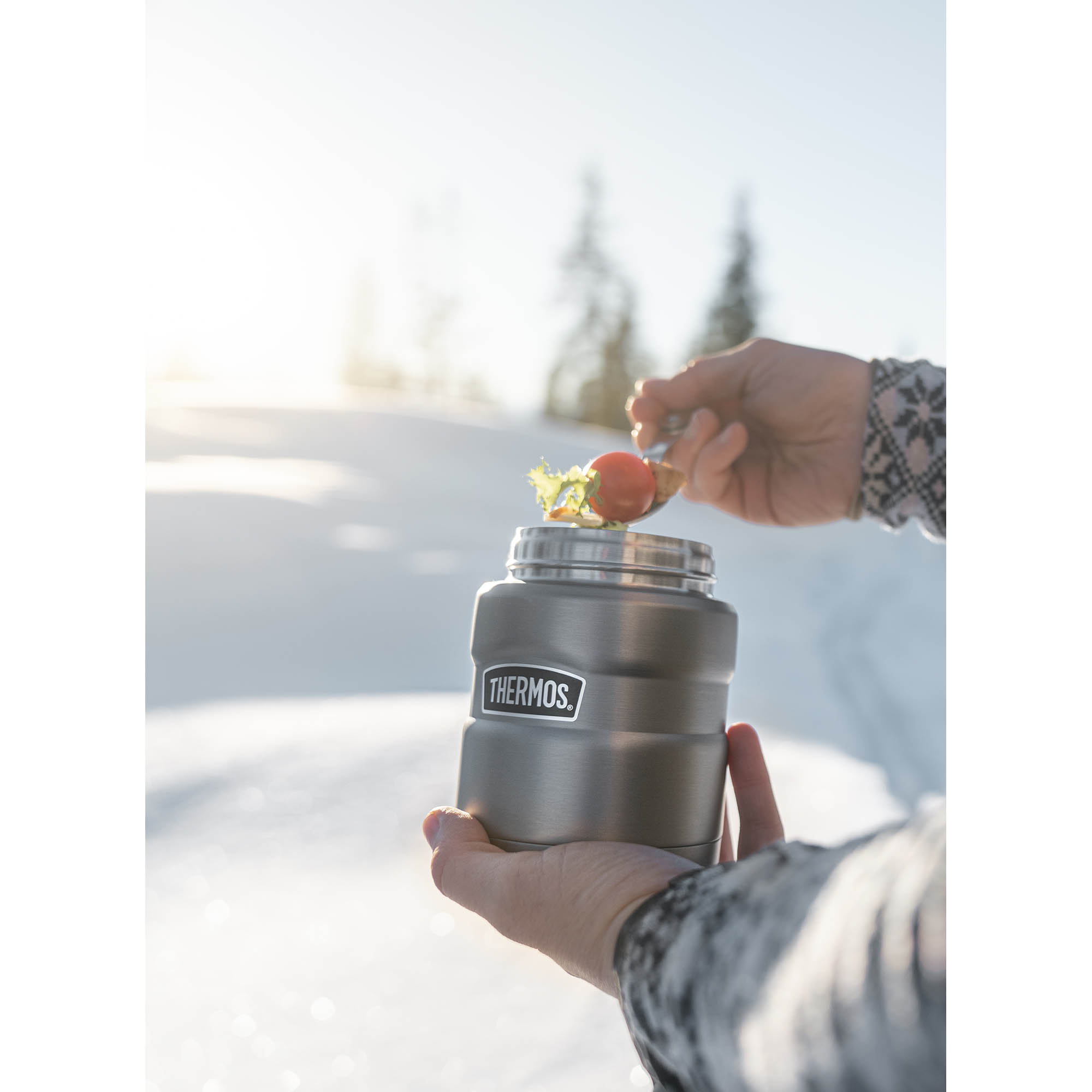 THERMOS Isolierspeisegefäß STAINLESS KING FOOD JAR 0,47 L Edelstahl matt doppelwandig