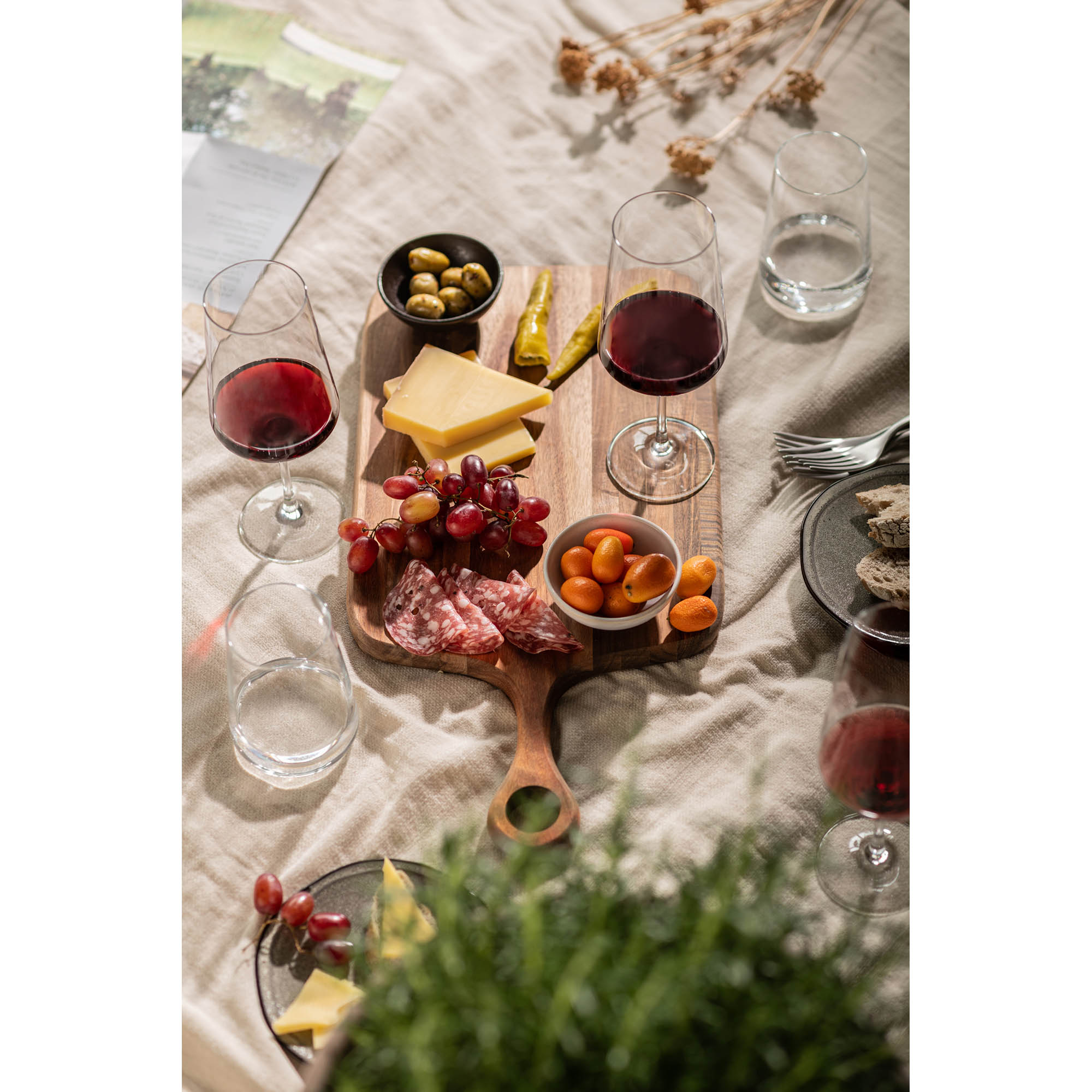 SCHOTT ZWIESEL Serie MIOVINO Allroundbecher Wasserglas 4 Stück Inhalt 410 ml