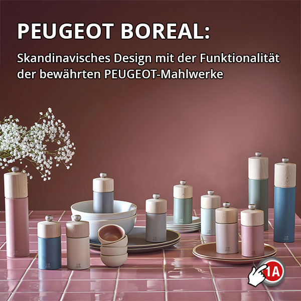 boreal_start_big_mini_mobil_de