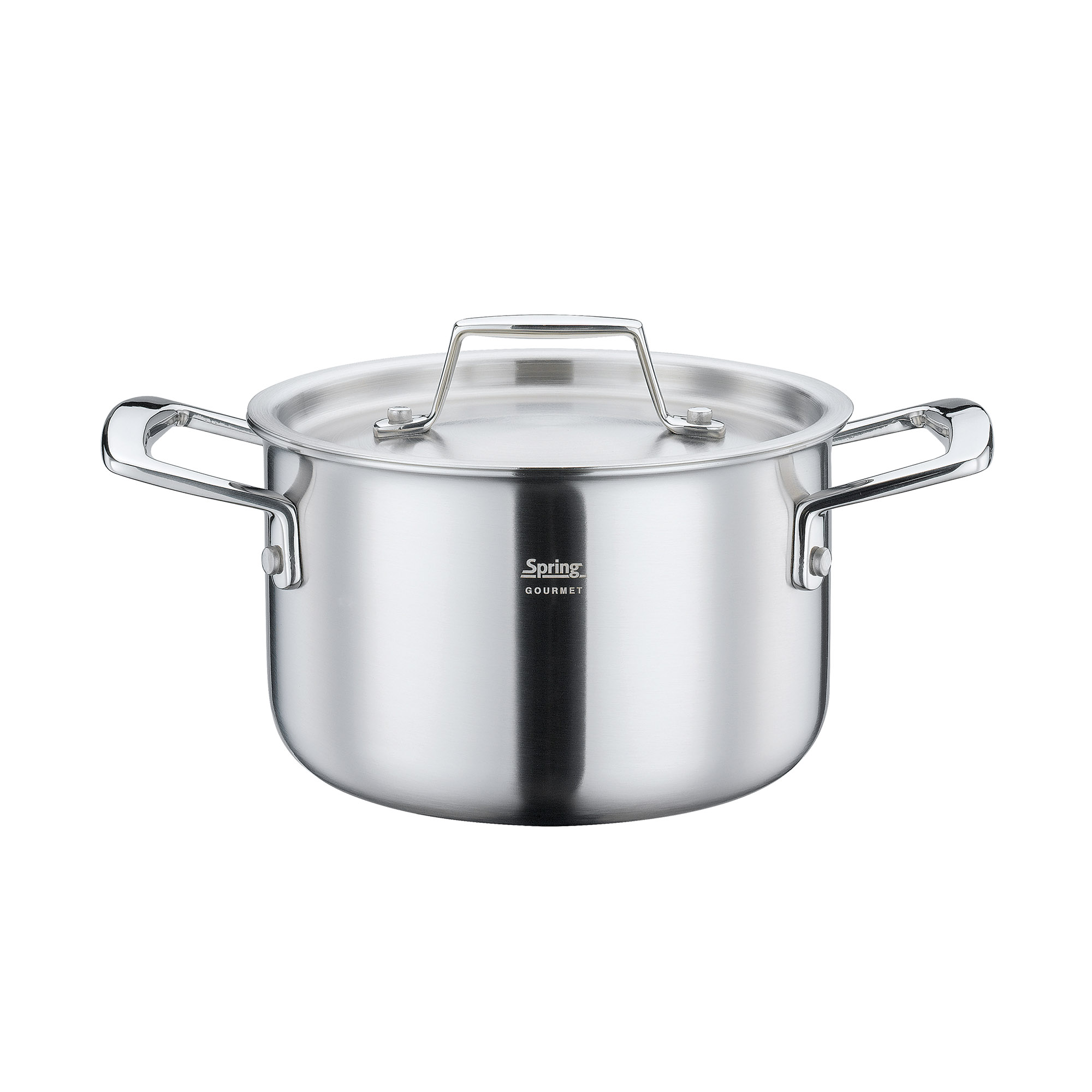 SPRING Kochtopf GOURMET 16 cm 2,0 Liter mit Metalldeckel INDUKTION