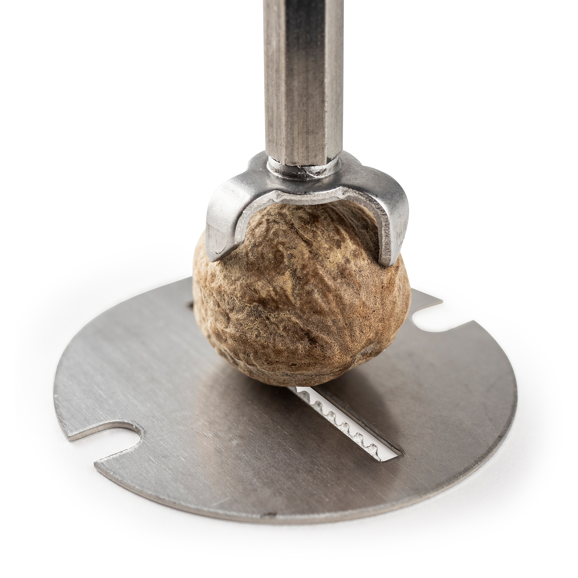 PEUGEOT Muskatmühle DAMAN 15 cm Holz Acryl