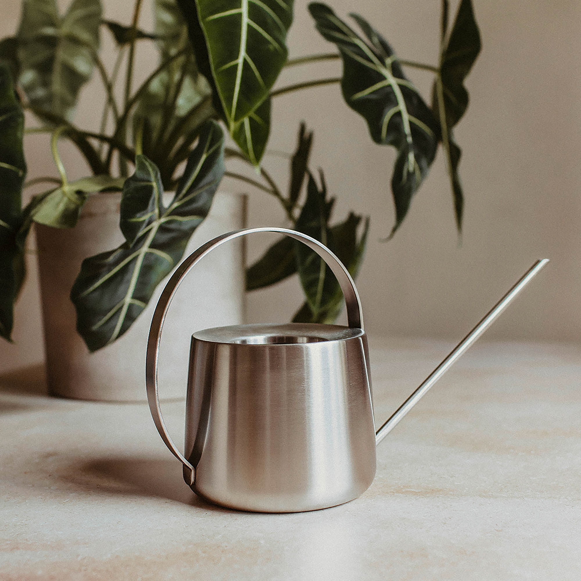 ZACK Gießkanne FLOWAS 1,3 Liter Edelstahl matt gebürstet