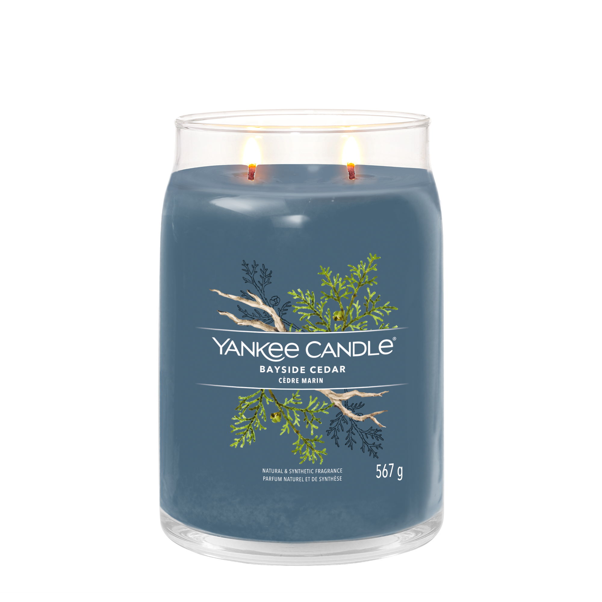 YANKEE CANDLE Große Signature Kerze BAYSIDE CEDAR 567 g Duftkerze