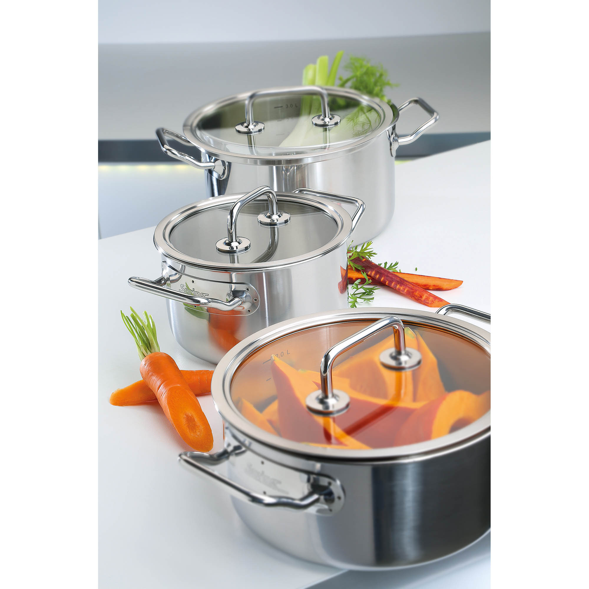 SPRING Bratentopf BRIGADE BASIC 24 cm 4,7 Liter mit Glasdeckel INDUKTION