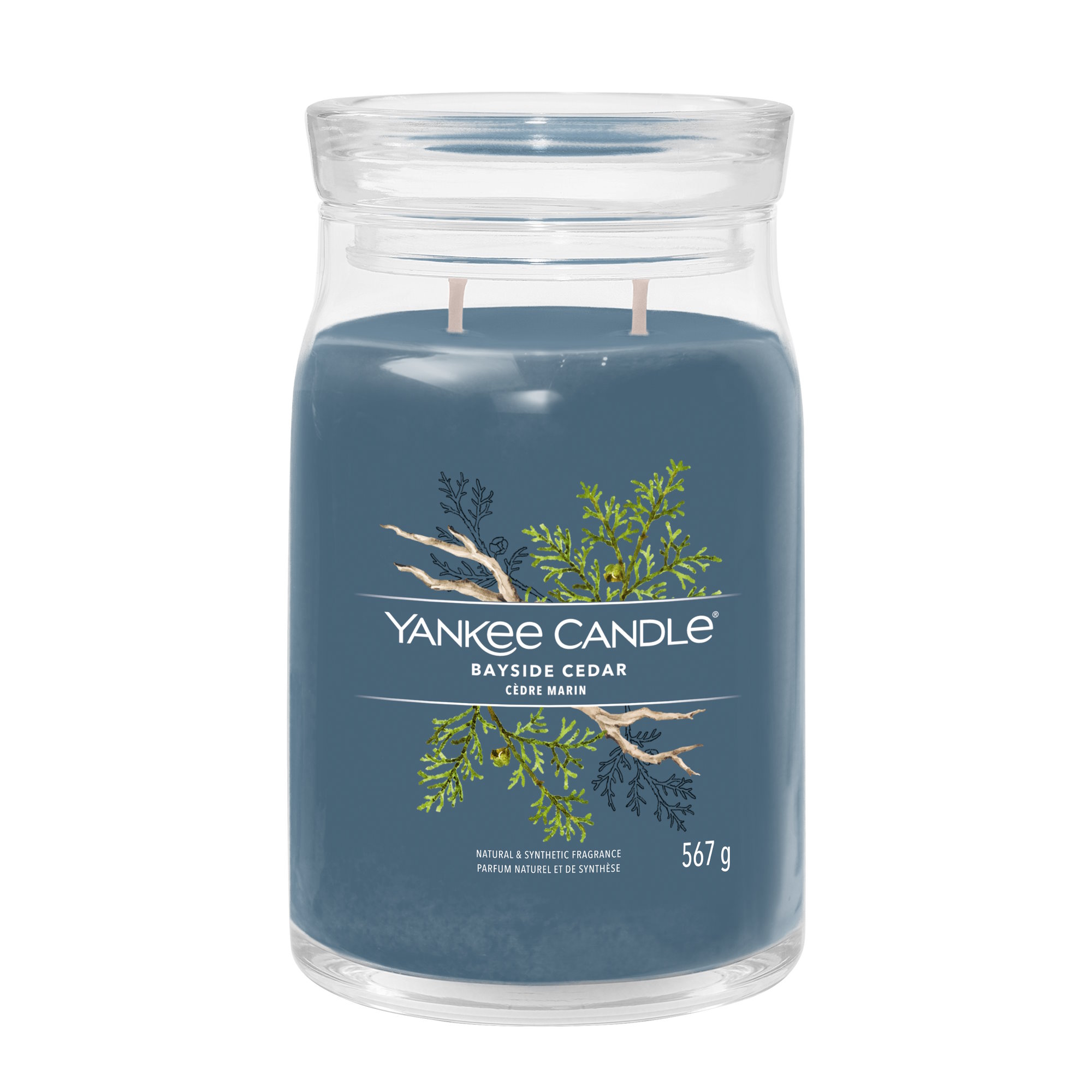 YANKEE CANDLE Große Signature Kerze BAYSIDE CEDAR 567 g Duftkerze