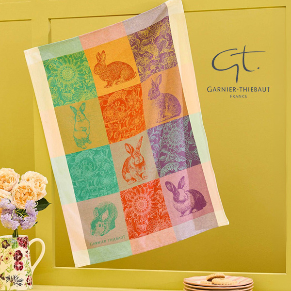 garnier_thiebaut_start