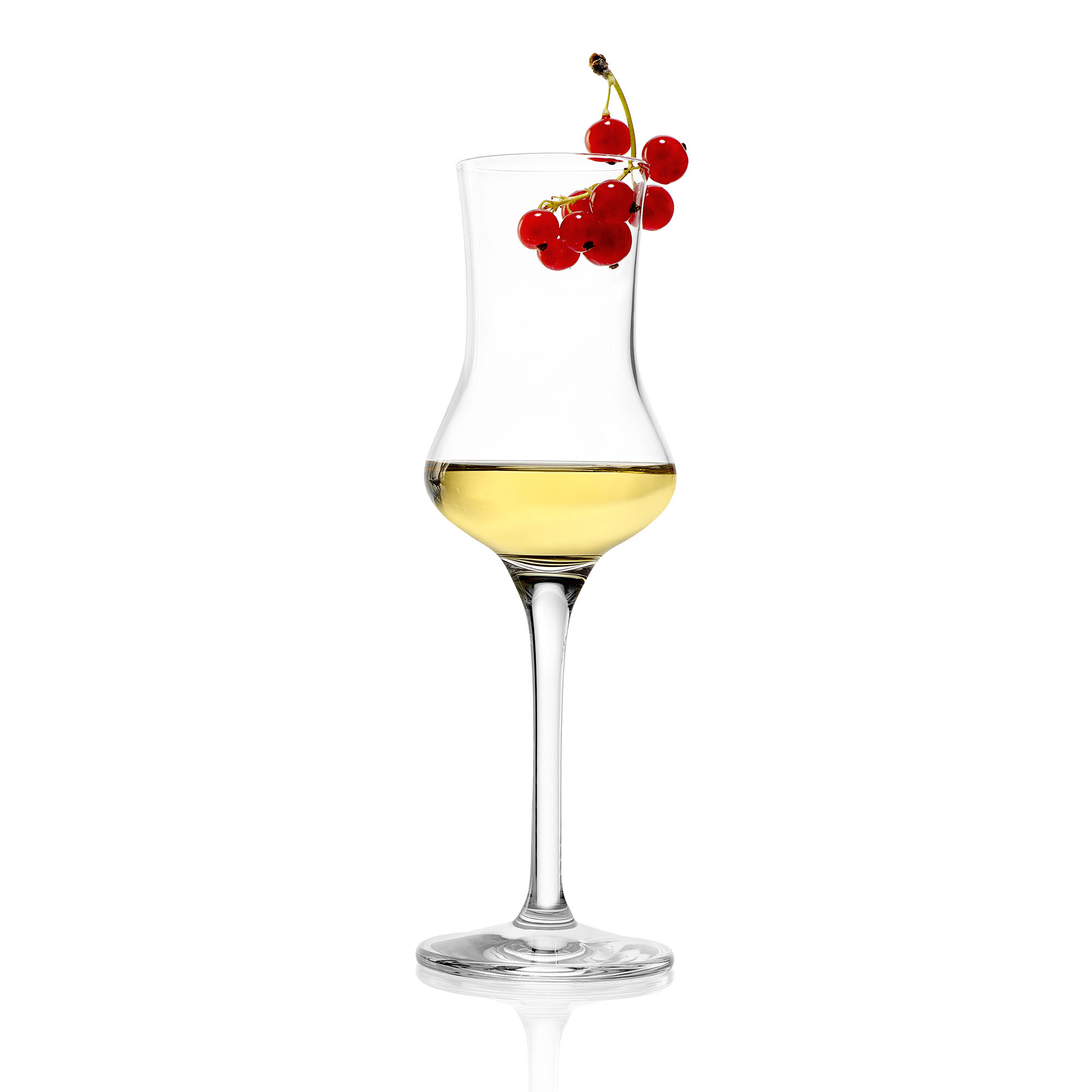 STÖLZLE LAUSITZ Grappa glass Brandy glass Distillate glass 90 ml Set of 6 pieces