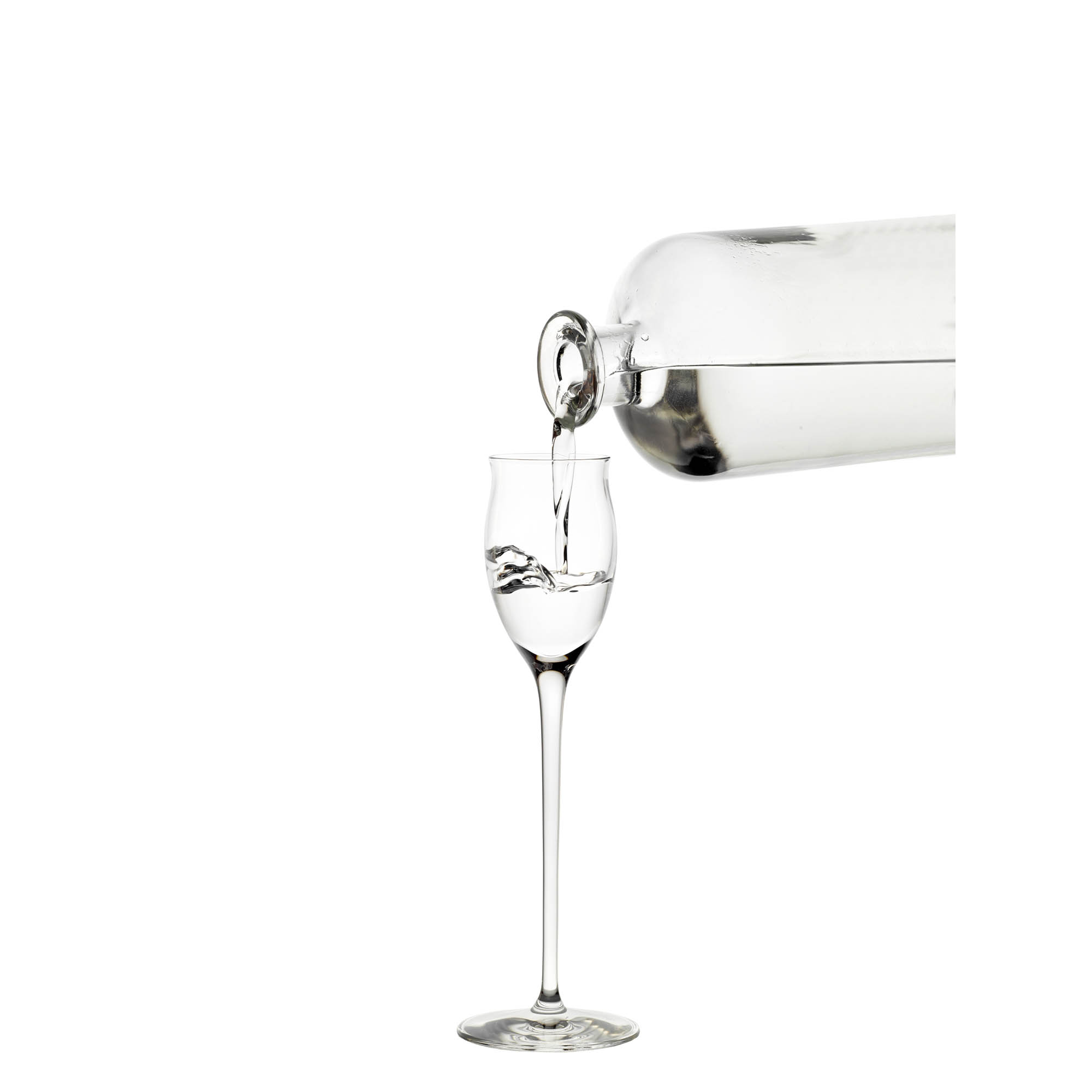 STÖLZLE LAUSITZ Series QUATROPHIL Brandy glass Grappa glass 6 pieces Capacity 65 ml