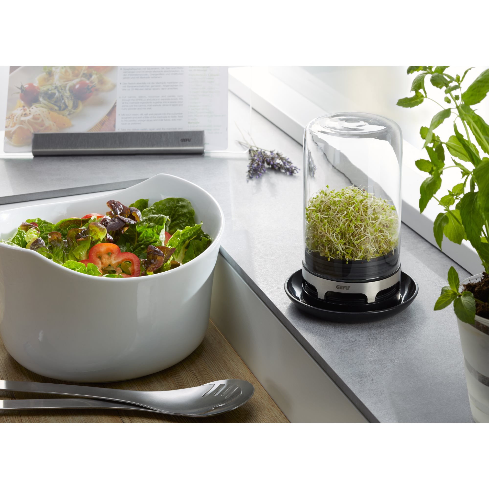 GEFU Sprossenglas BIVITA Miniatur-Gewächshaus für Sprossen