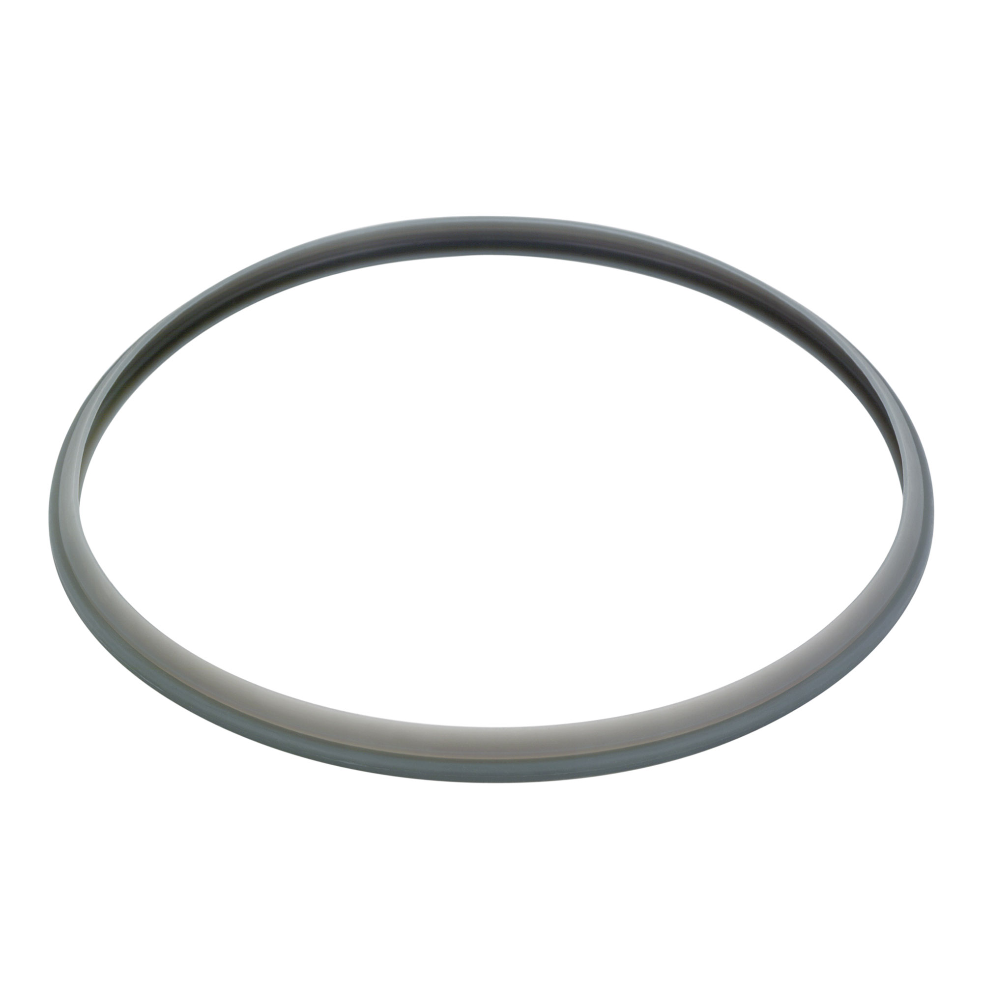 GSW Dichtungsring 22 cm für Energiespartopf Premium GSW