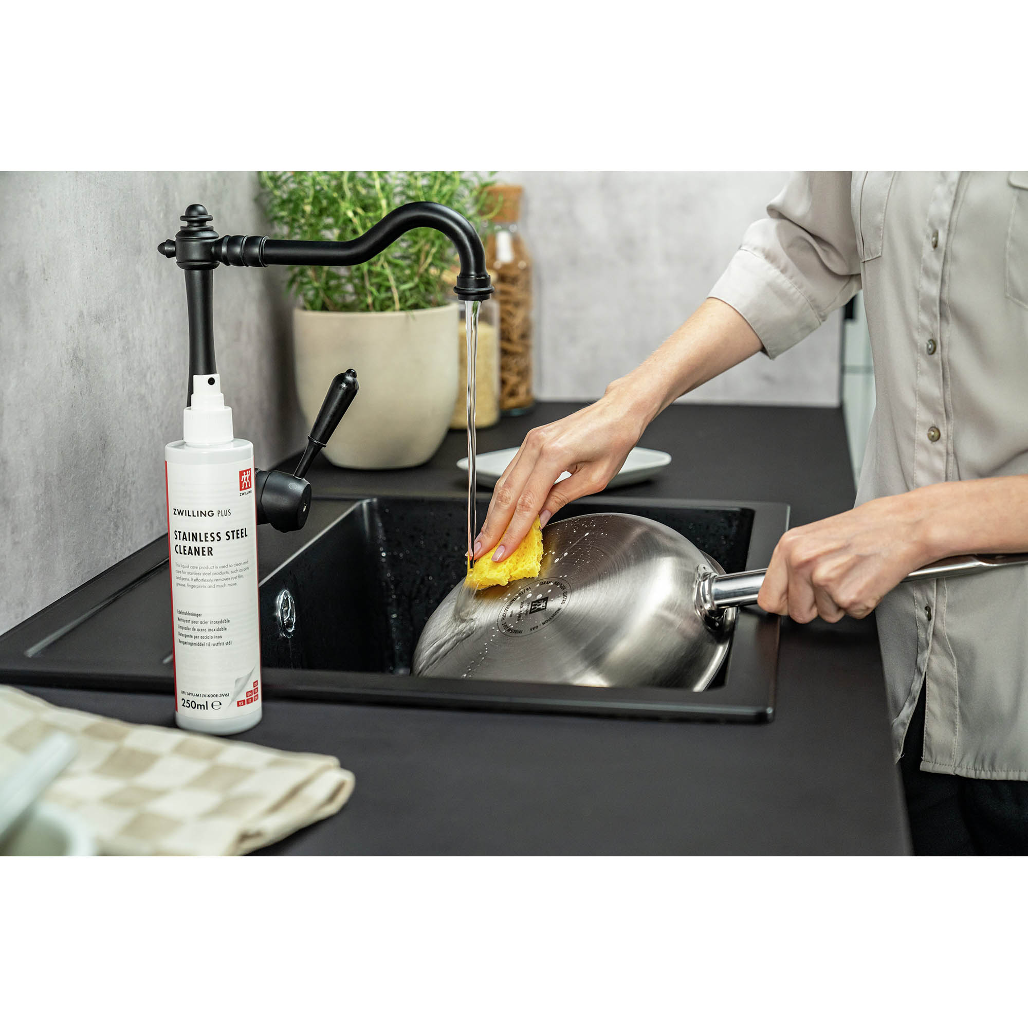 ZWILLING Edelstahlreiniger ZWILLING PLUS 250 ml Edelstahlpflege