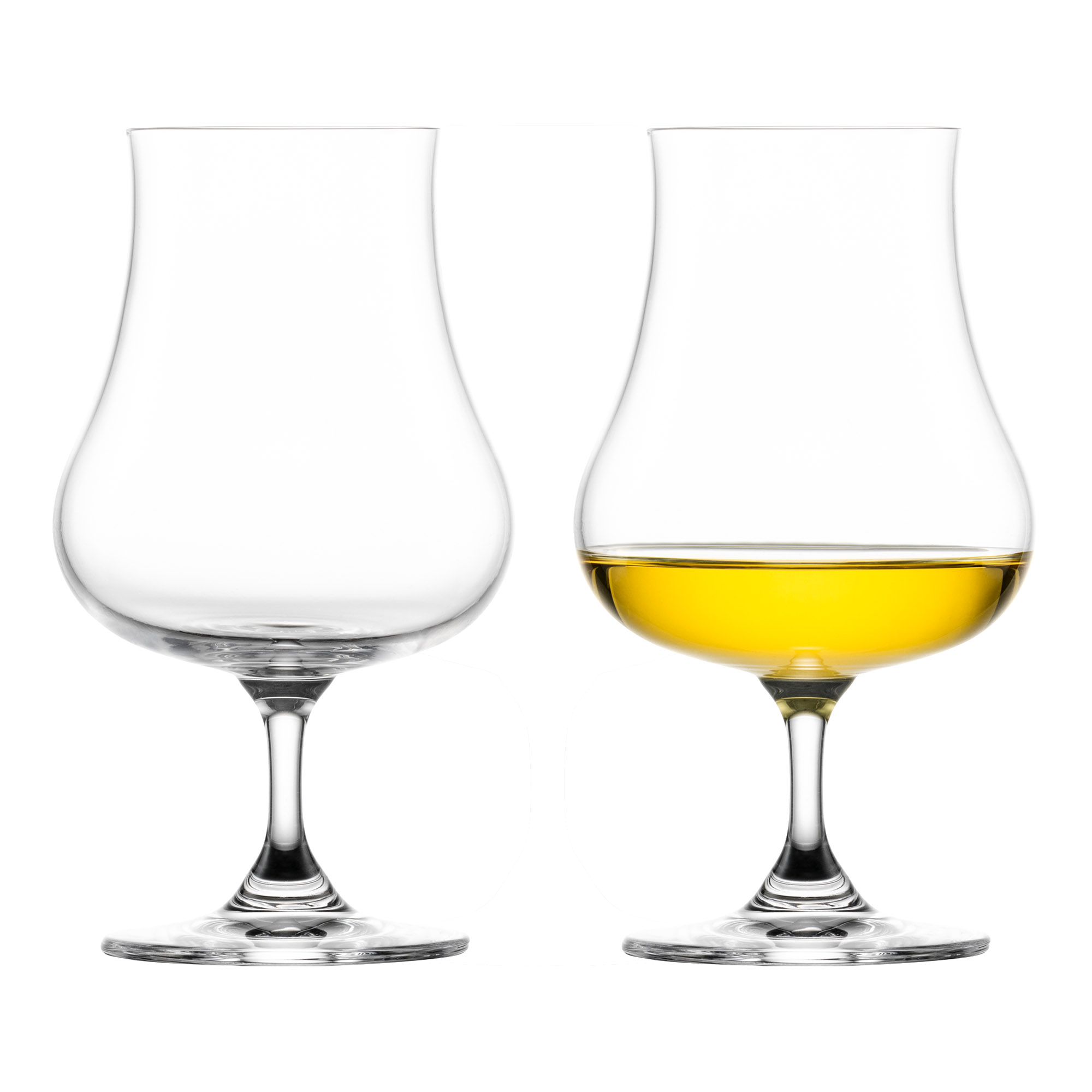 EISCH Spirituosenglas GENTLEMAN 2 Stück im Geschenkset Inhalt je 220 ml